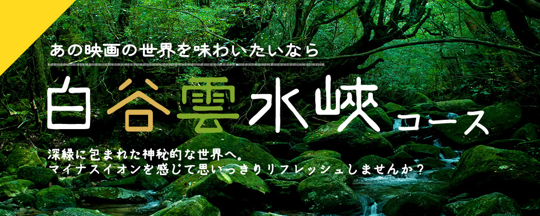 あの映画の世界を味わいたいなら 白谷雲水峡コース