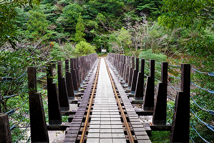 トロッコ道