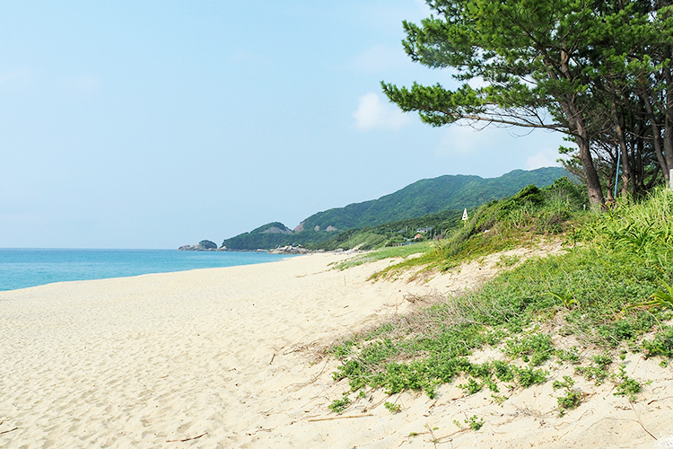 永田いなか浜