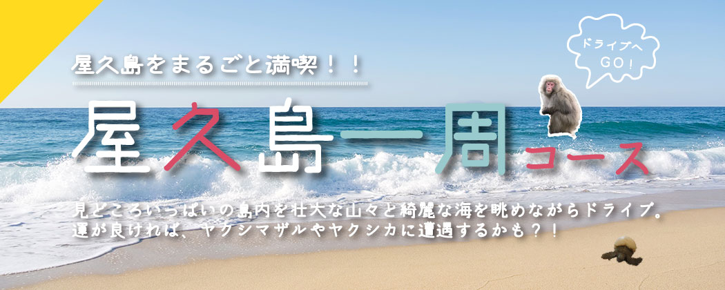 屋久島をまるごと満喫！！屋久島一周コース