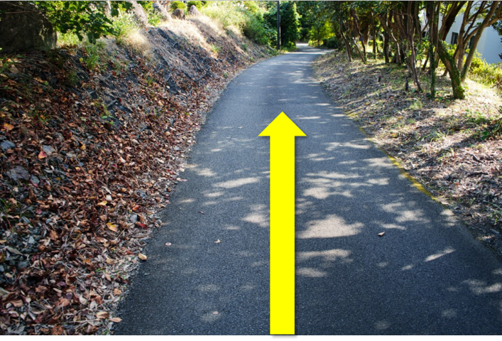 看板から駐車場へと続く小道